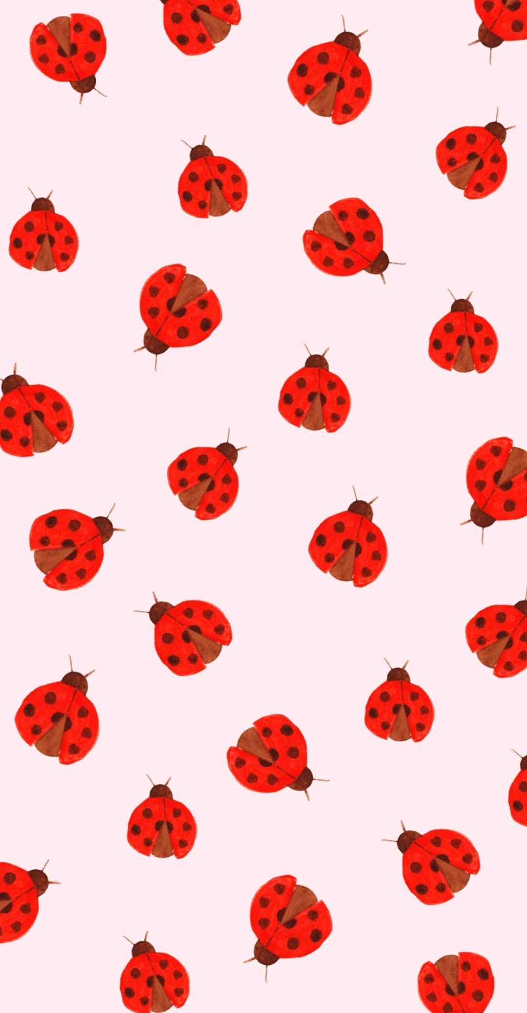 cute ladybug backgrounds 0039