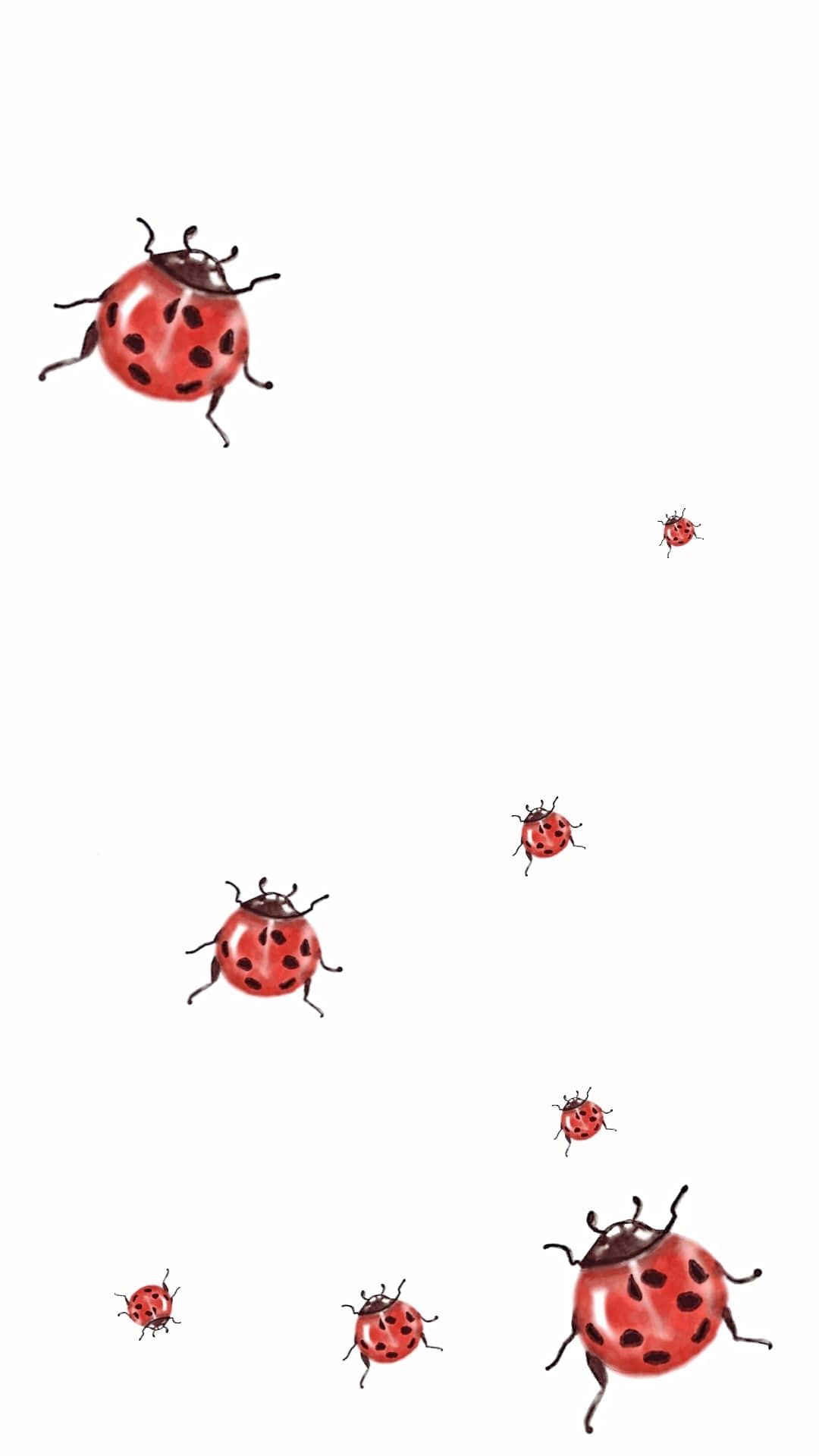 cute ladybug backgrounds 0050