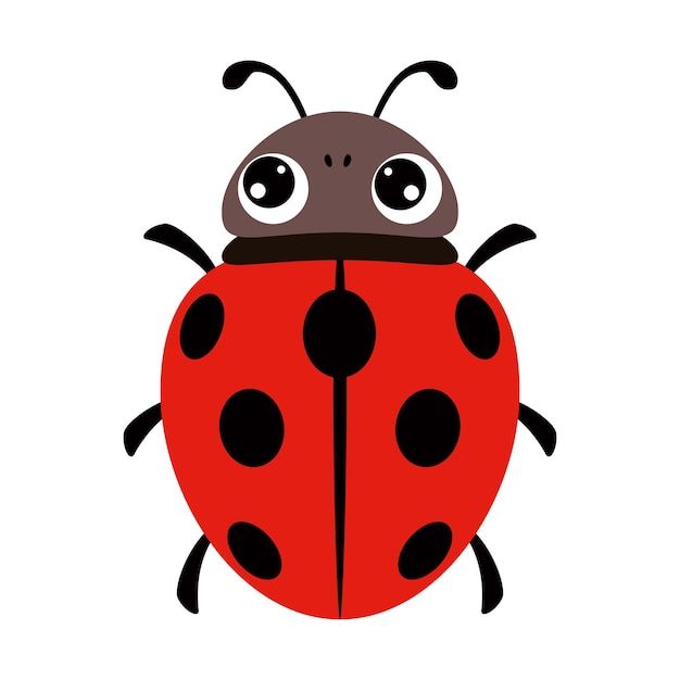 cute ladybug backgrounds 0051