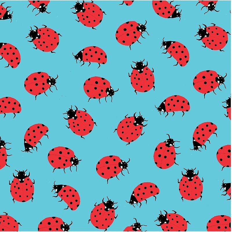 cute ladybug backgrounds 0057