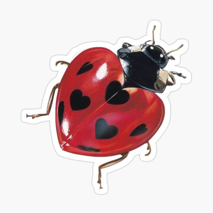 cute ladybug backgrounds 0059