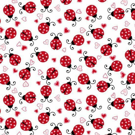 cute ladybug backgrounds 0060