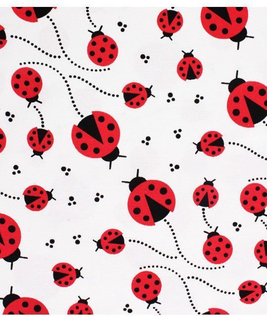 cute ladybug backgrounds 0072