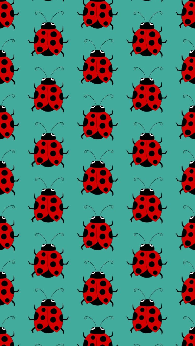 cute ladybug backgrounds 0081