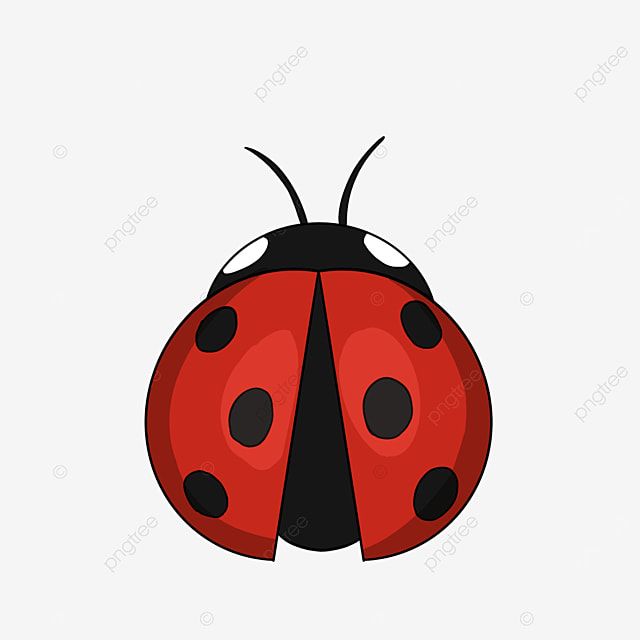 cute ladybug backgrounds 0083