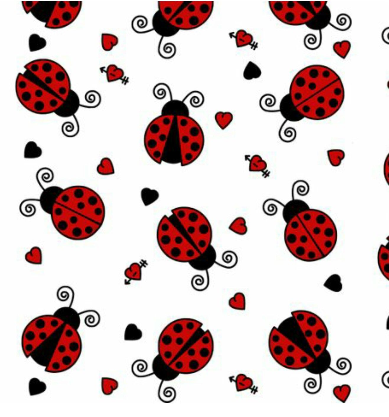 cute ladybug backgrounds 0085