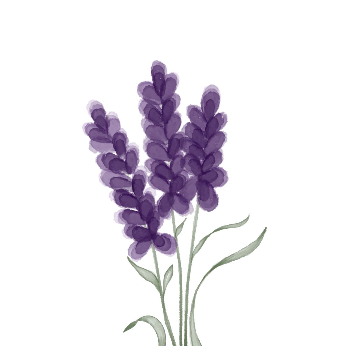 cute lavender backgrounds 0067