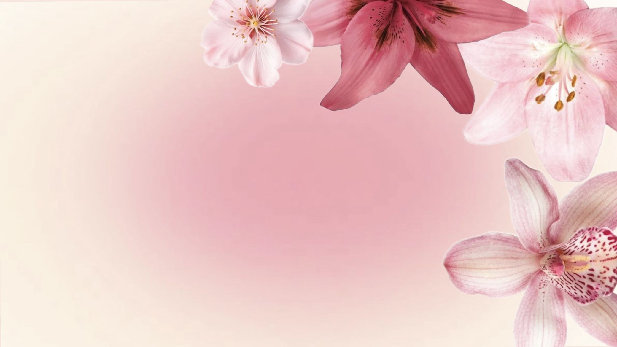 cute Macbook backgrounds 0096