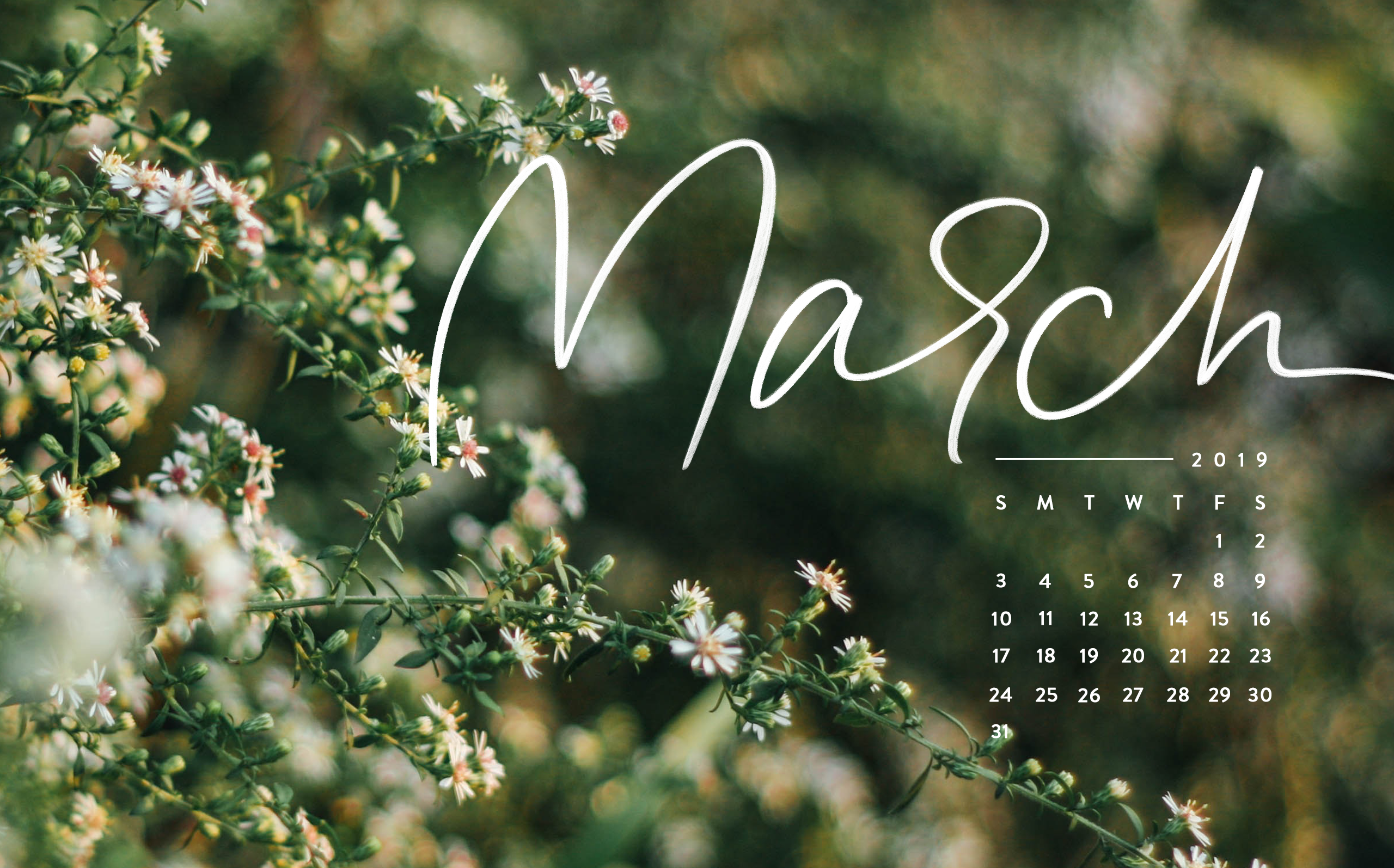 cute march backgrounds 0039