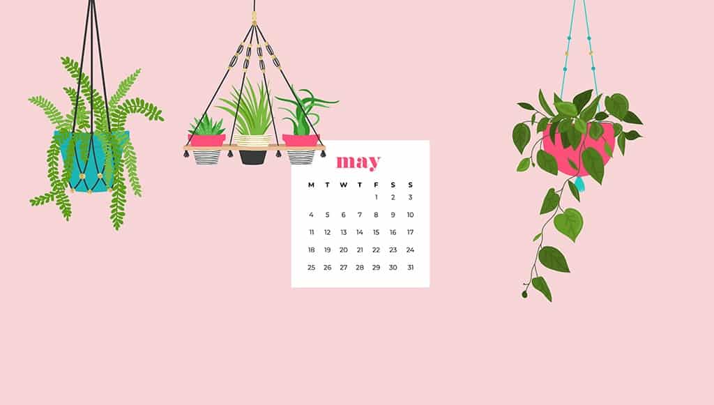 cute may backgrounds 0030