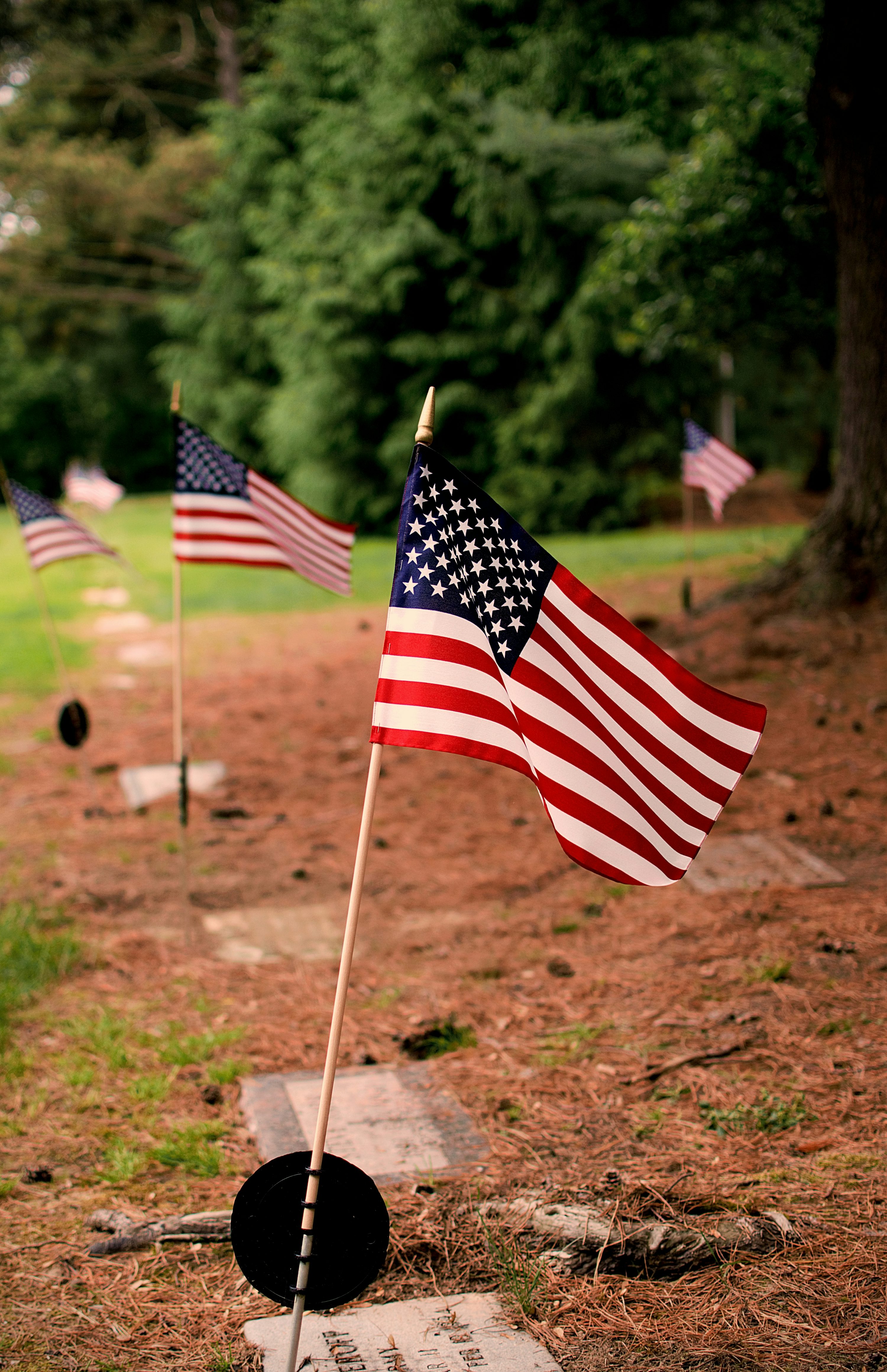 cute Memorial Day backgrounds 0050