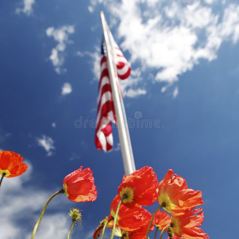 cute Memorial Day backgrounds 0088