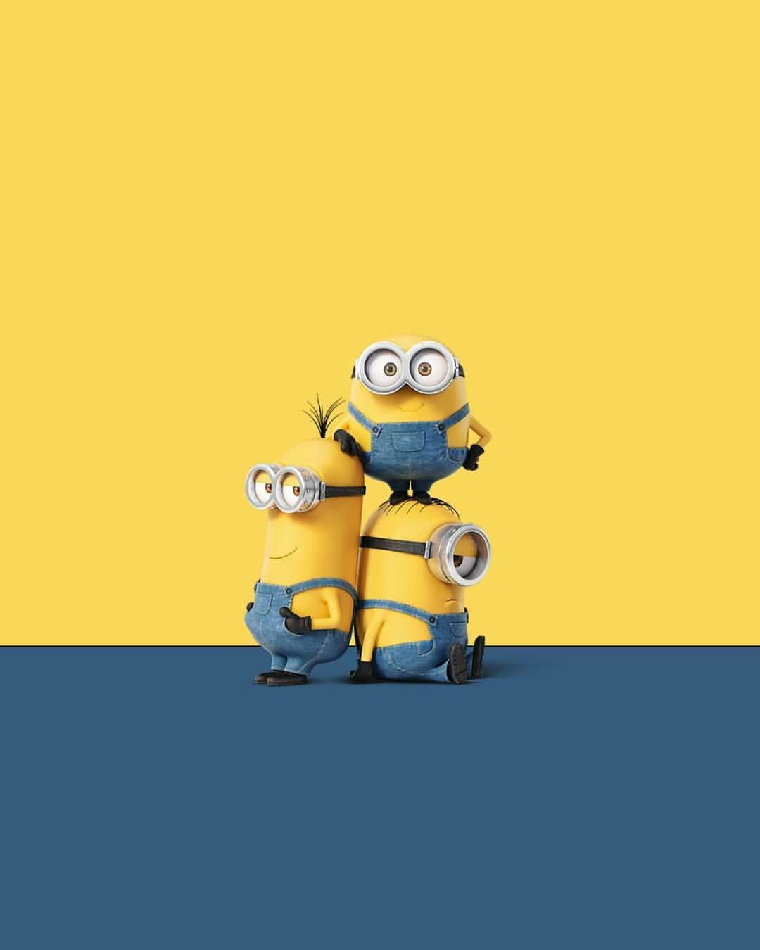 cute Minion backgrounds 0044