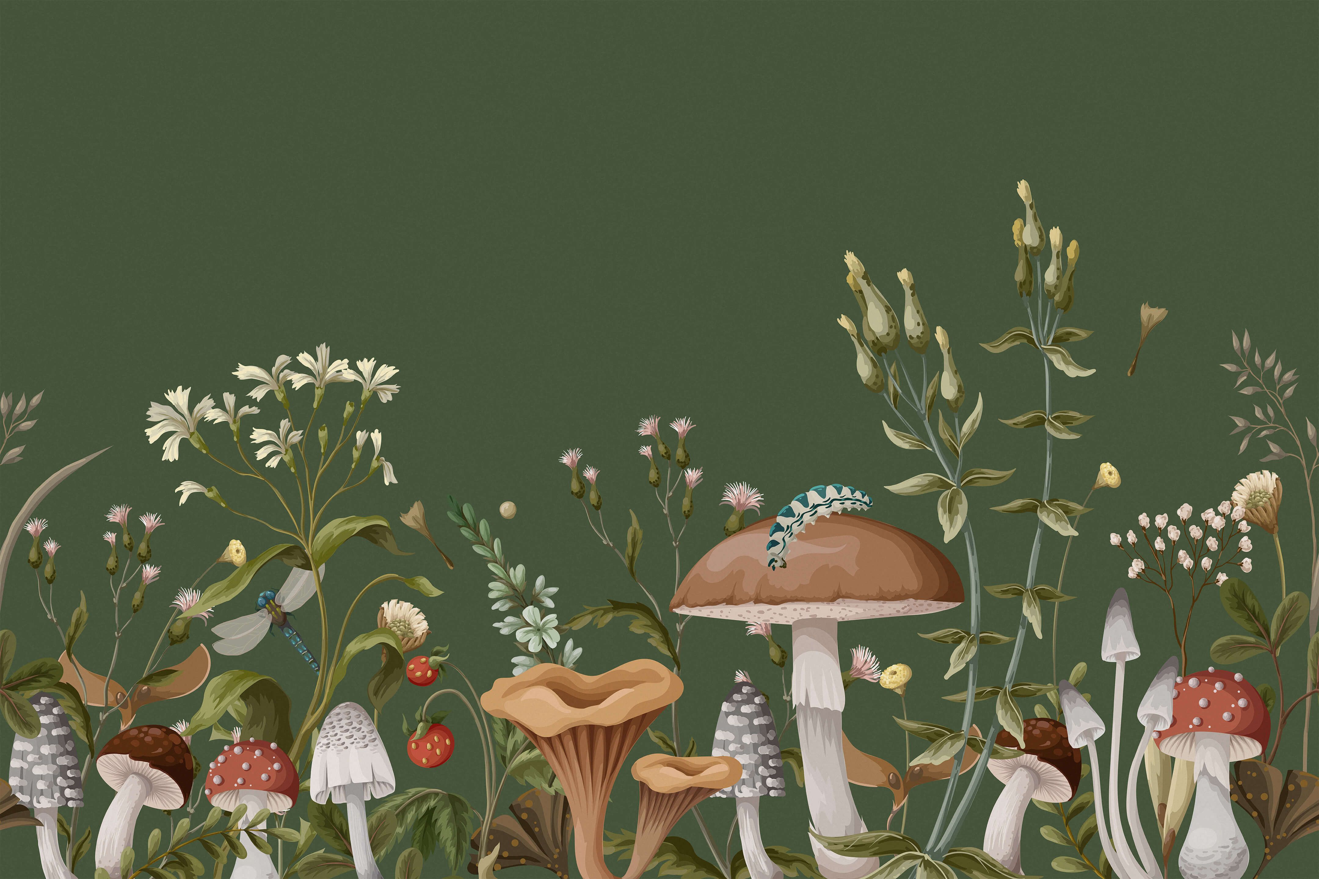 cute mushroom backgrounds 0023