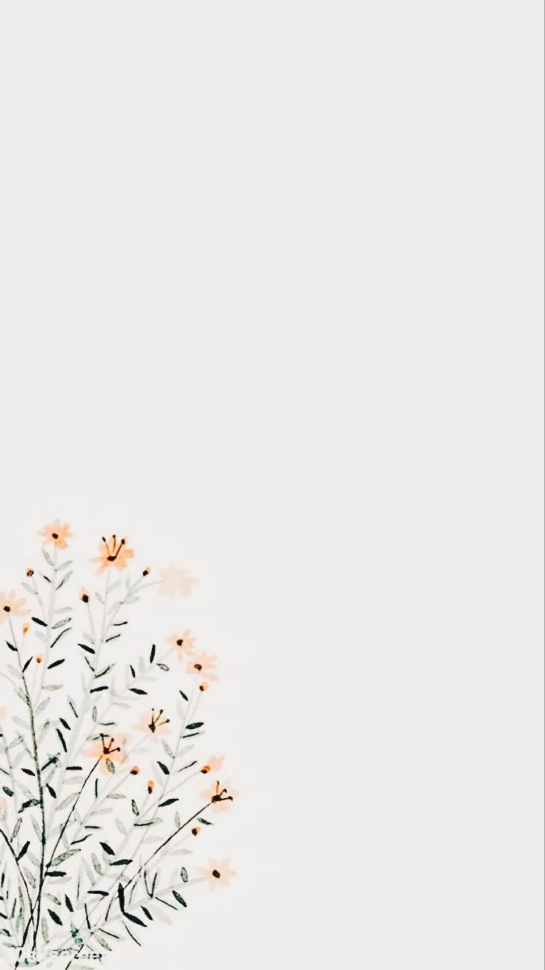 cute neutral backgrounds 0016