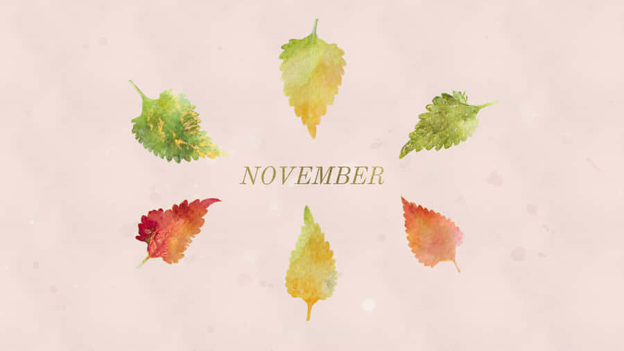 cute november backgrounds 0026