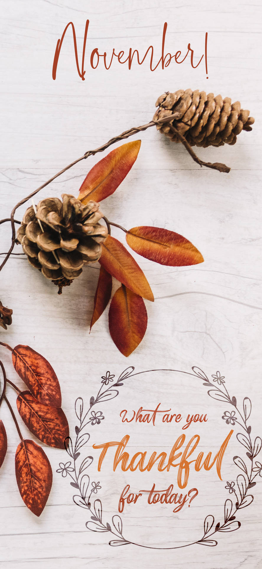 cute november backgrounds 0029