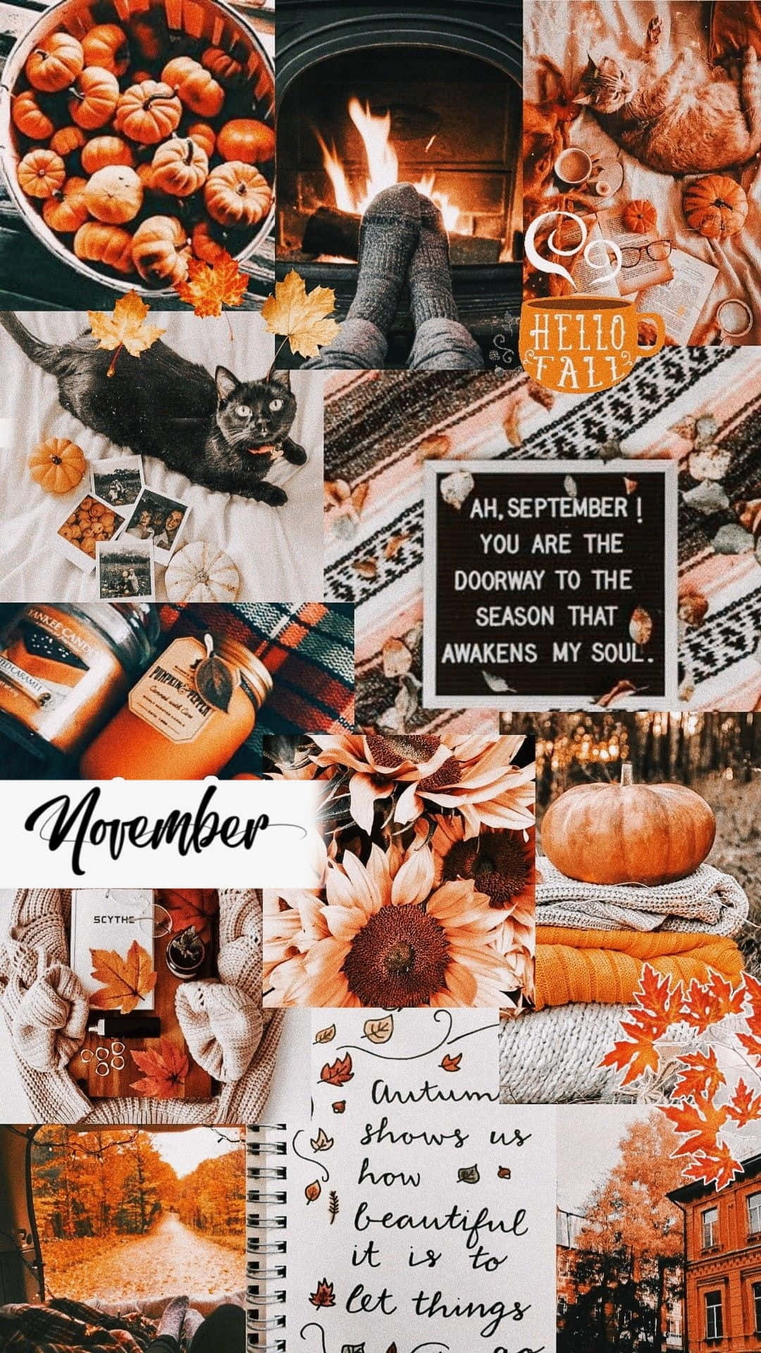 cute november backgrounds 0031