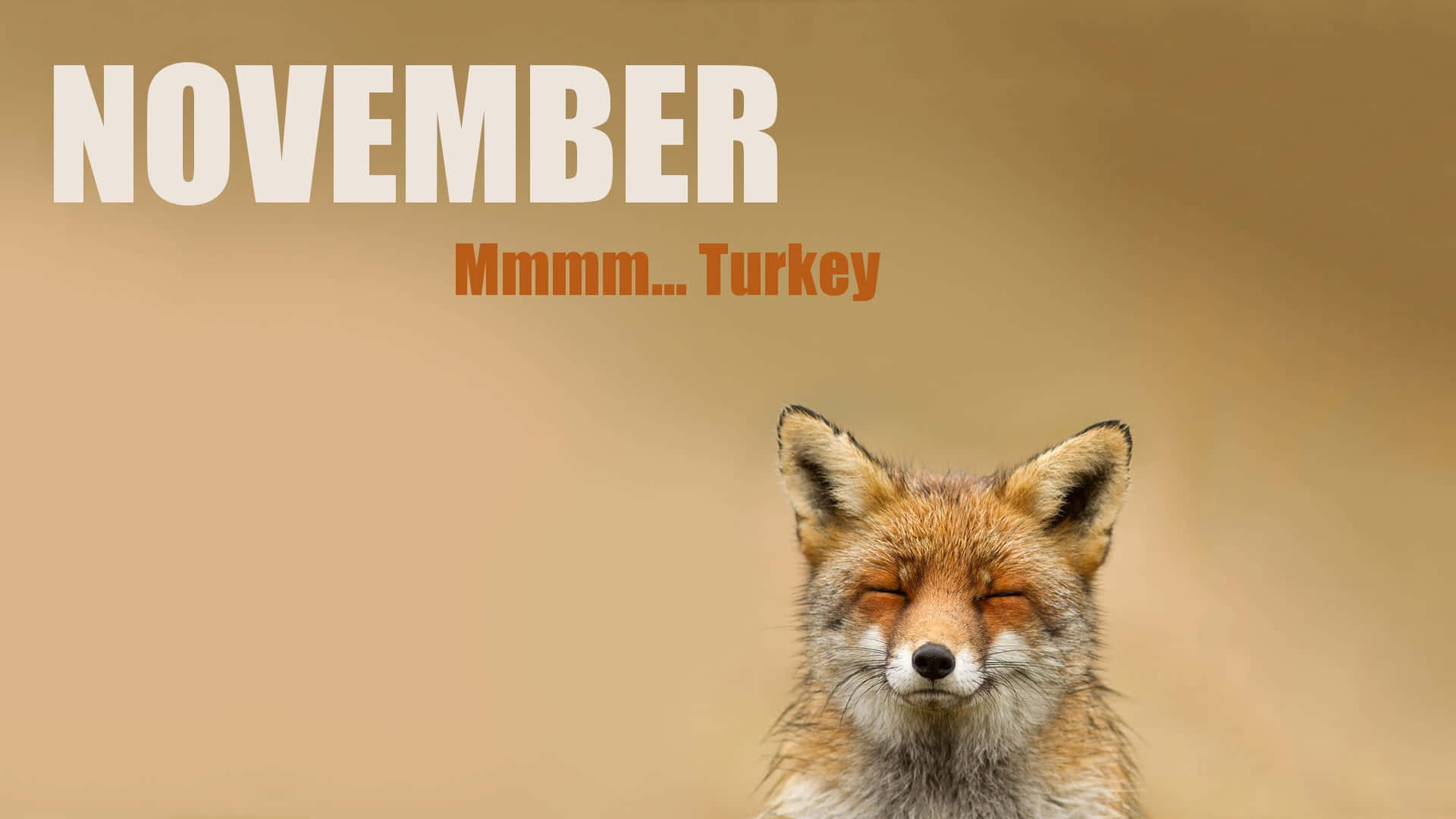 cute november backgrounds 0035