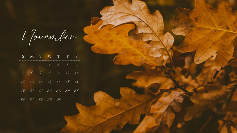 cute november backgrounds 0058