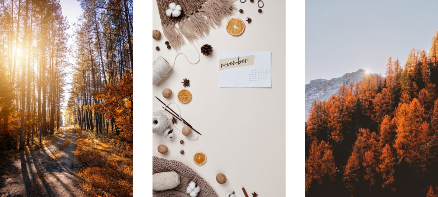 cute november backgrounds 0069