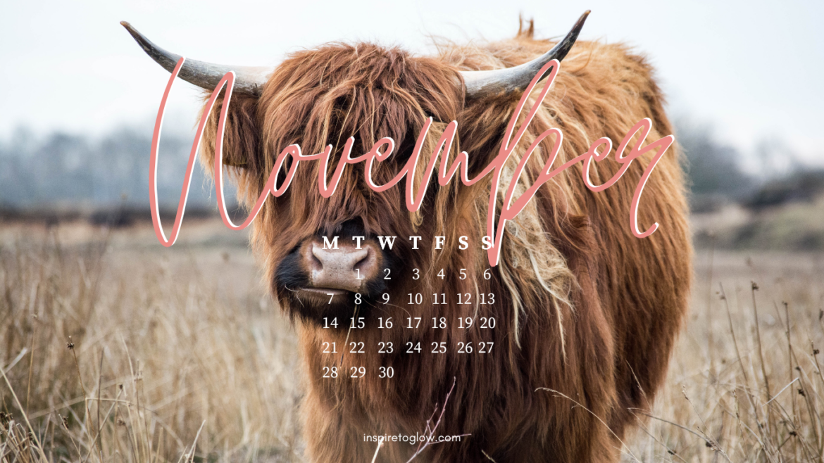 cute november backgrounds 0071