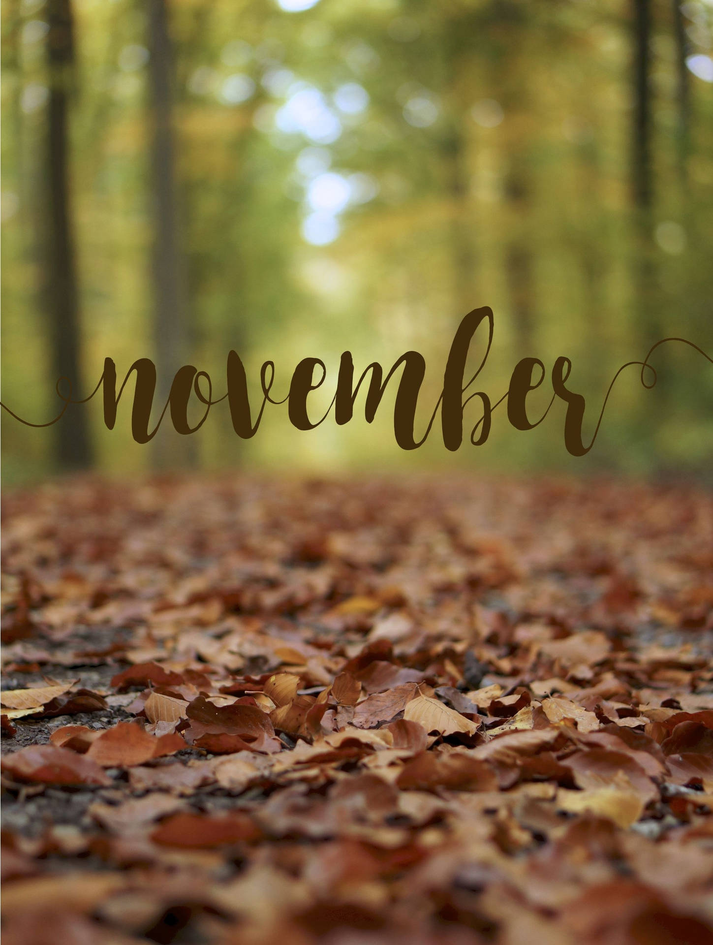 cute november backgrounds 0074