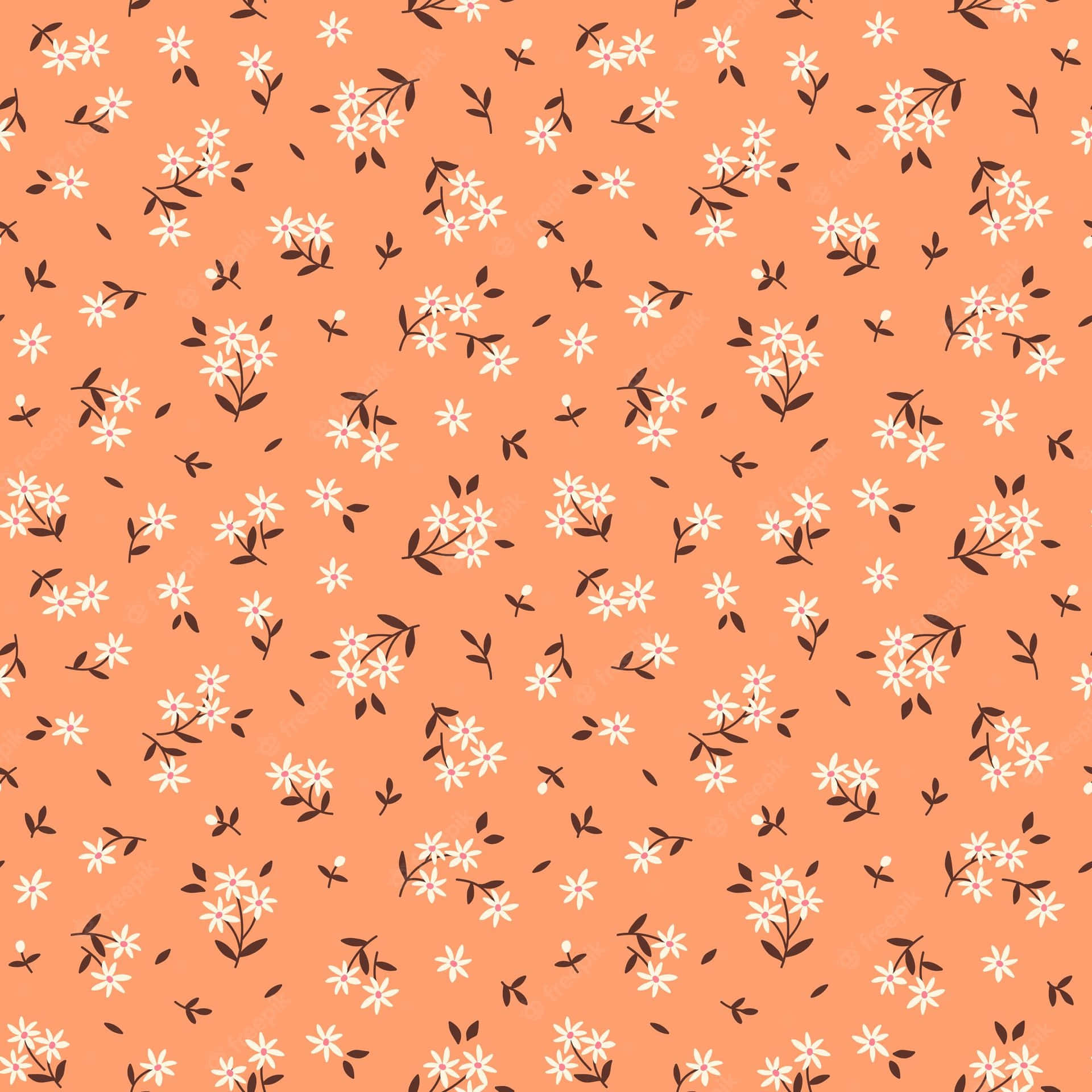 cute orange backgrounds 0040