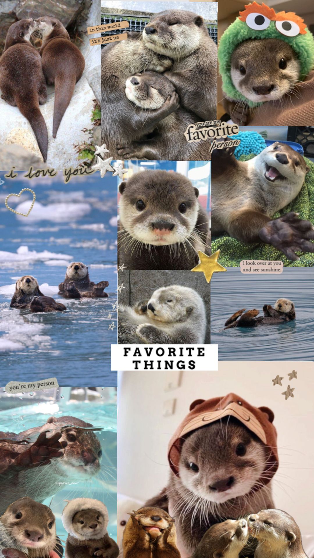 cute otter backgrounds 0053