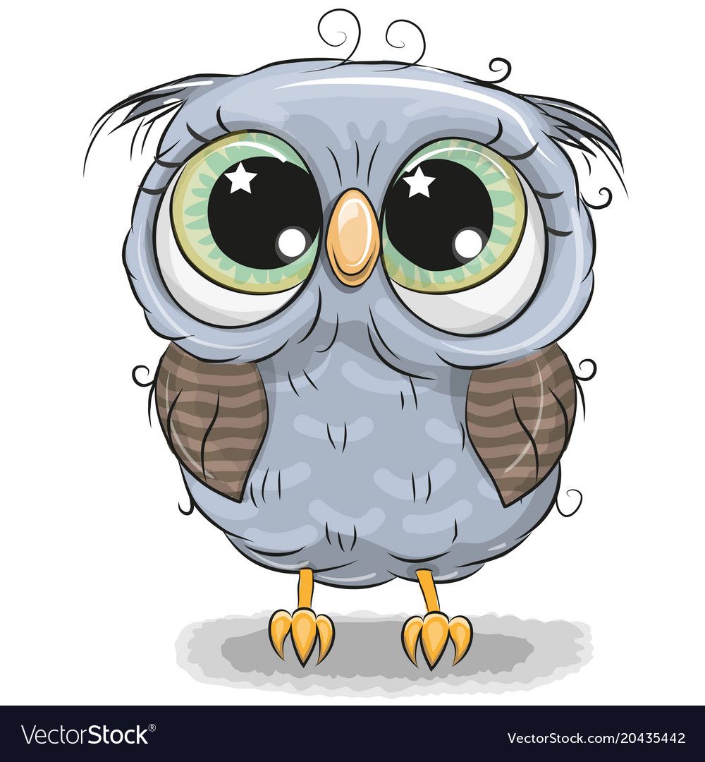 cute owl backgrounds 0076