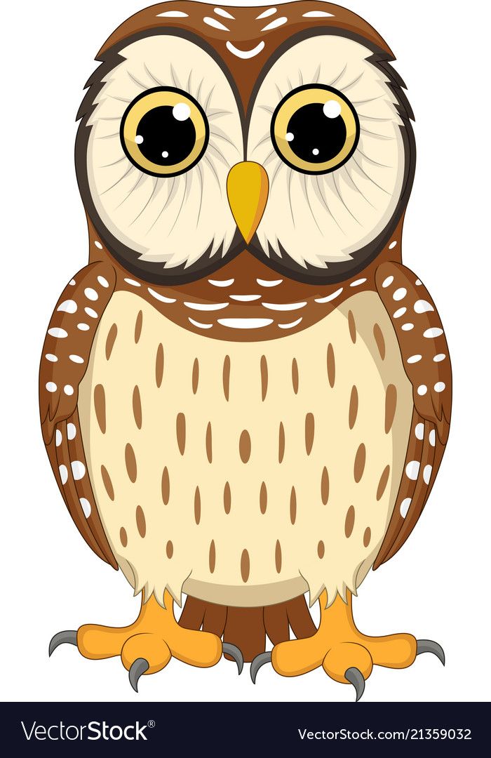 cute owl backgrounds 0082