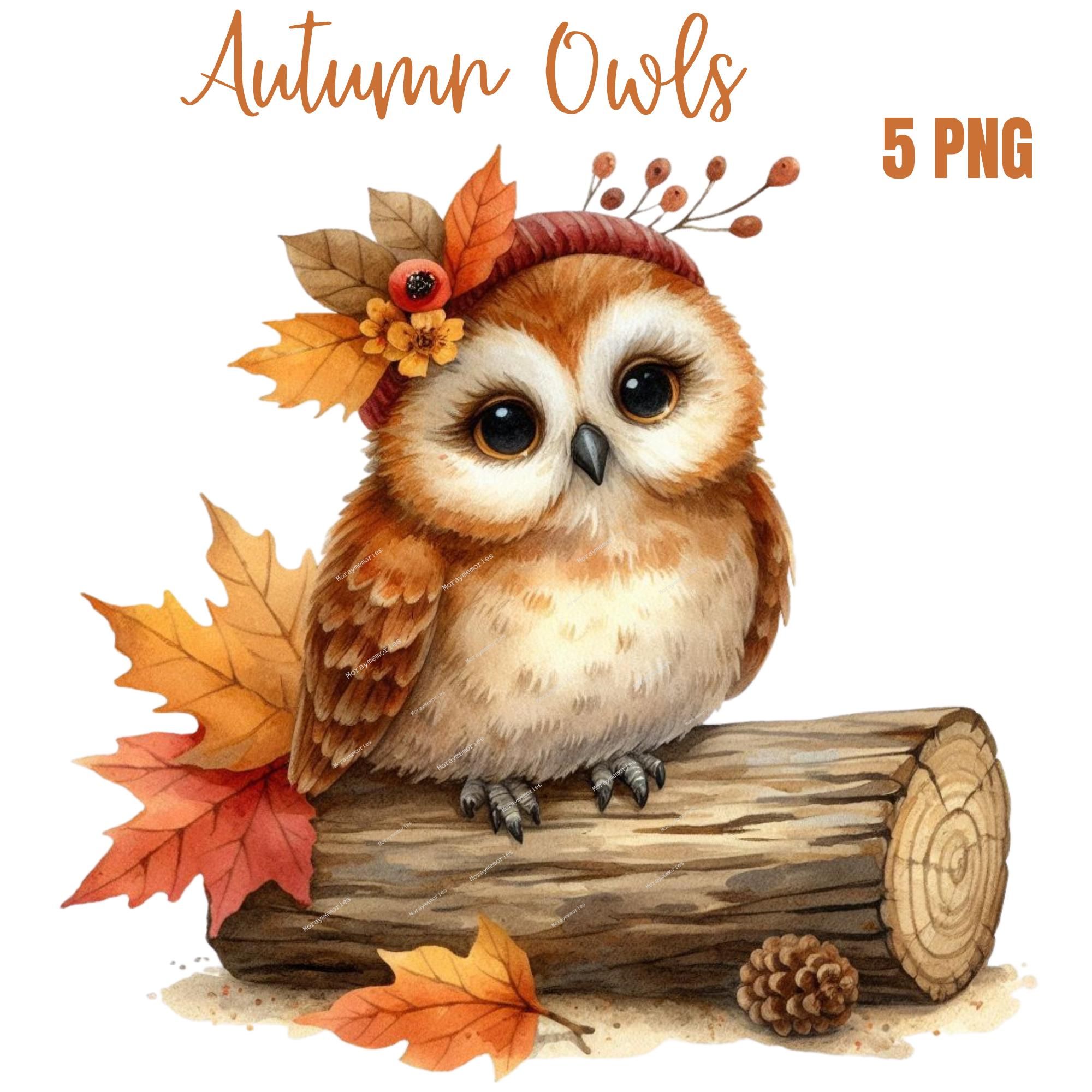 cute owl backgrounds 0091