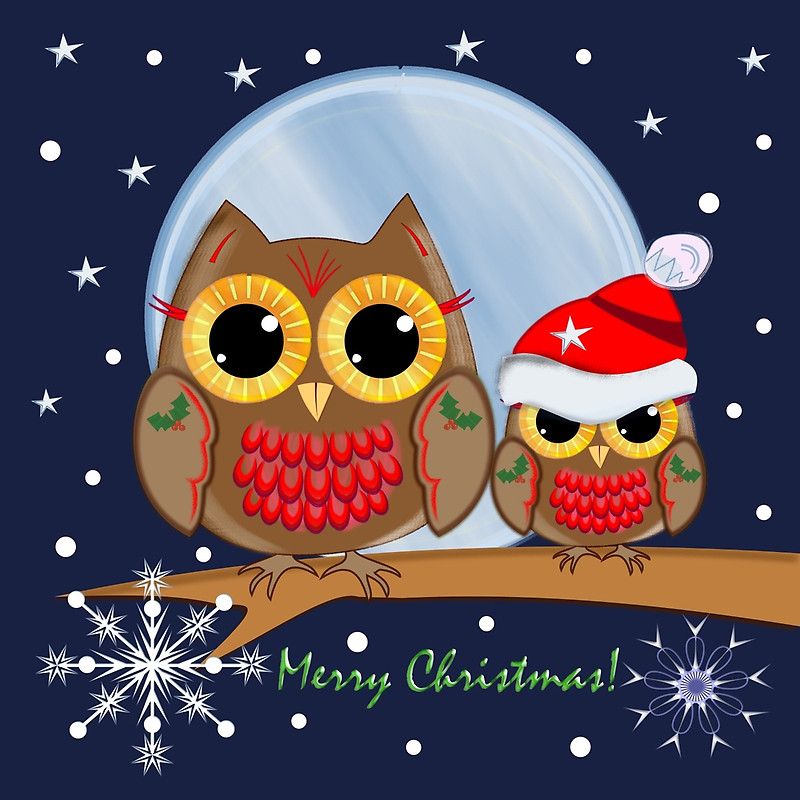 cute owl backgrounds 0097