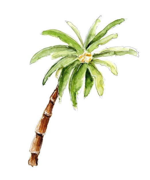 cute palm tree backgrounds 0010