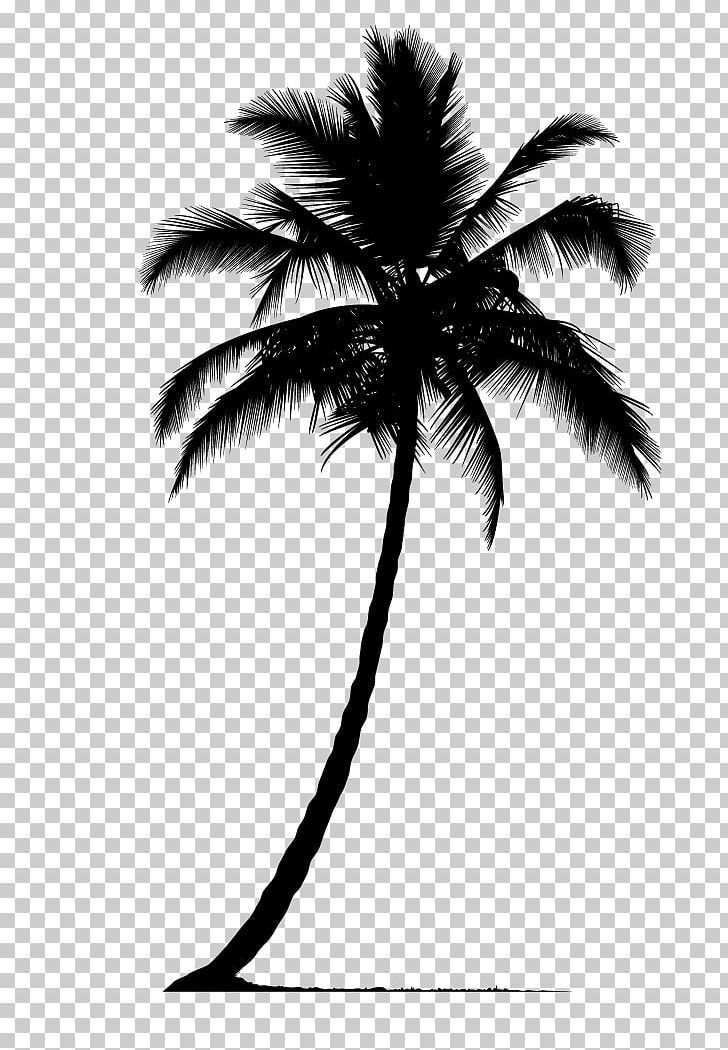 cute palm tree backgrounds 0016