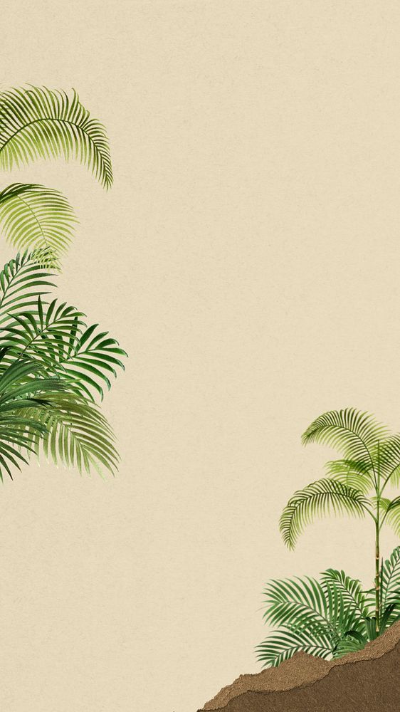 cute palm tree backgrounds 0017