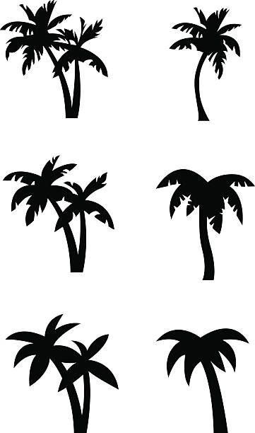 cute palm tree backgrounds 0019