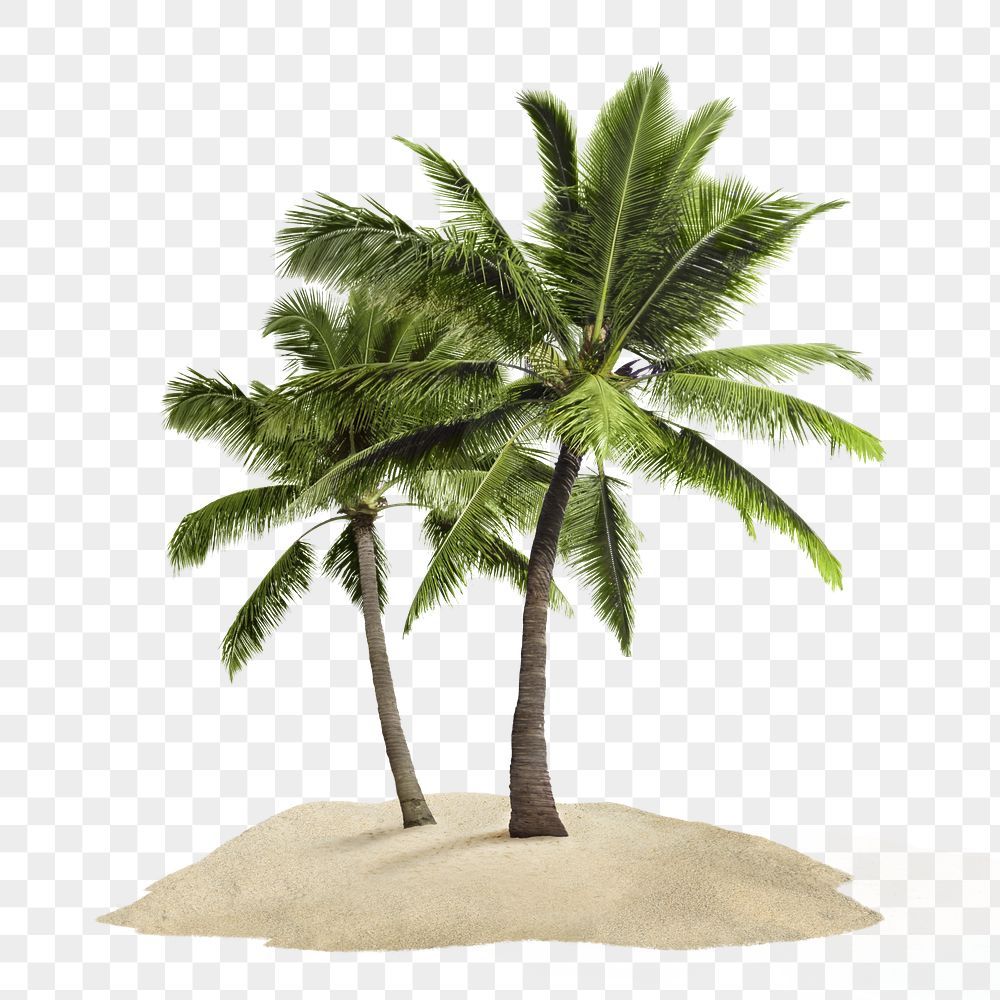 cute palm tree backgrounds 0025