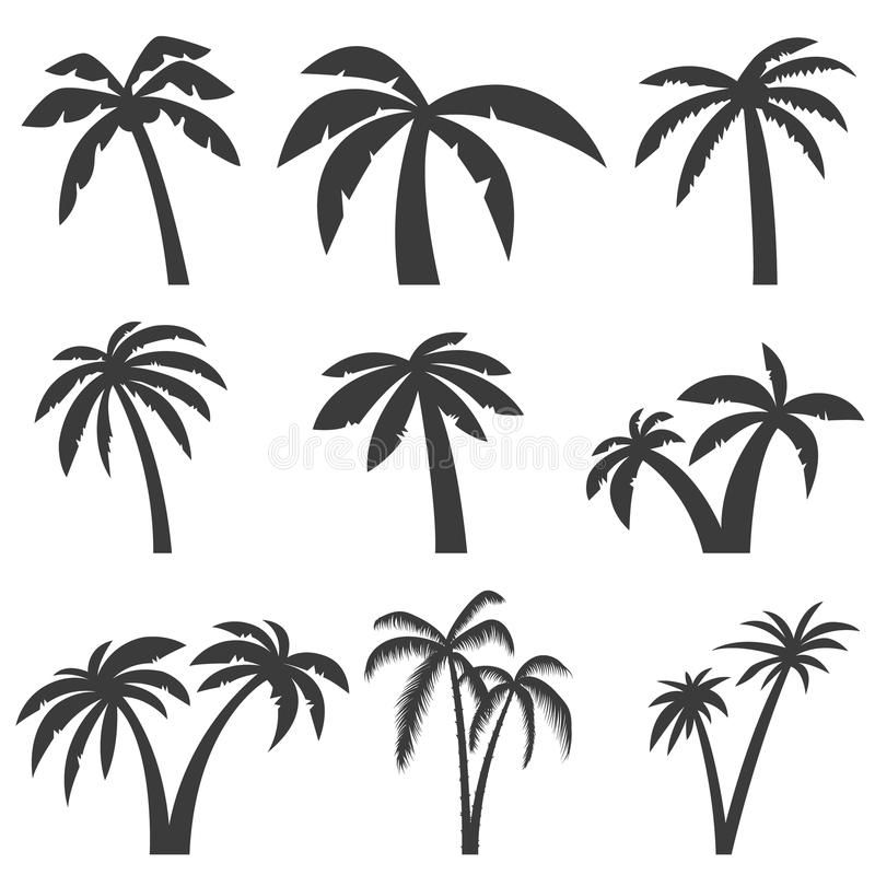 cute palm tree backgrounds 0028