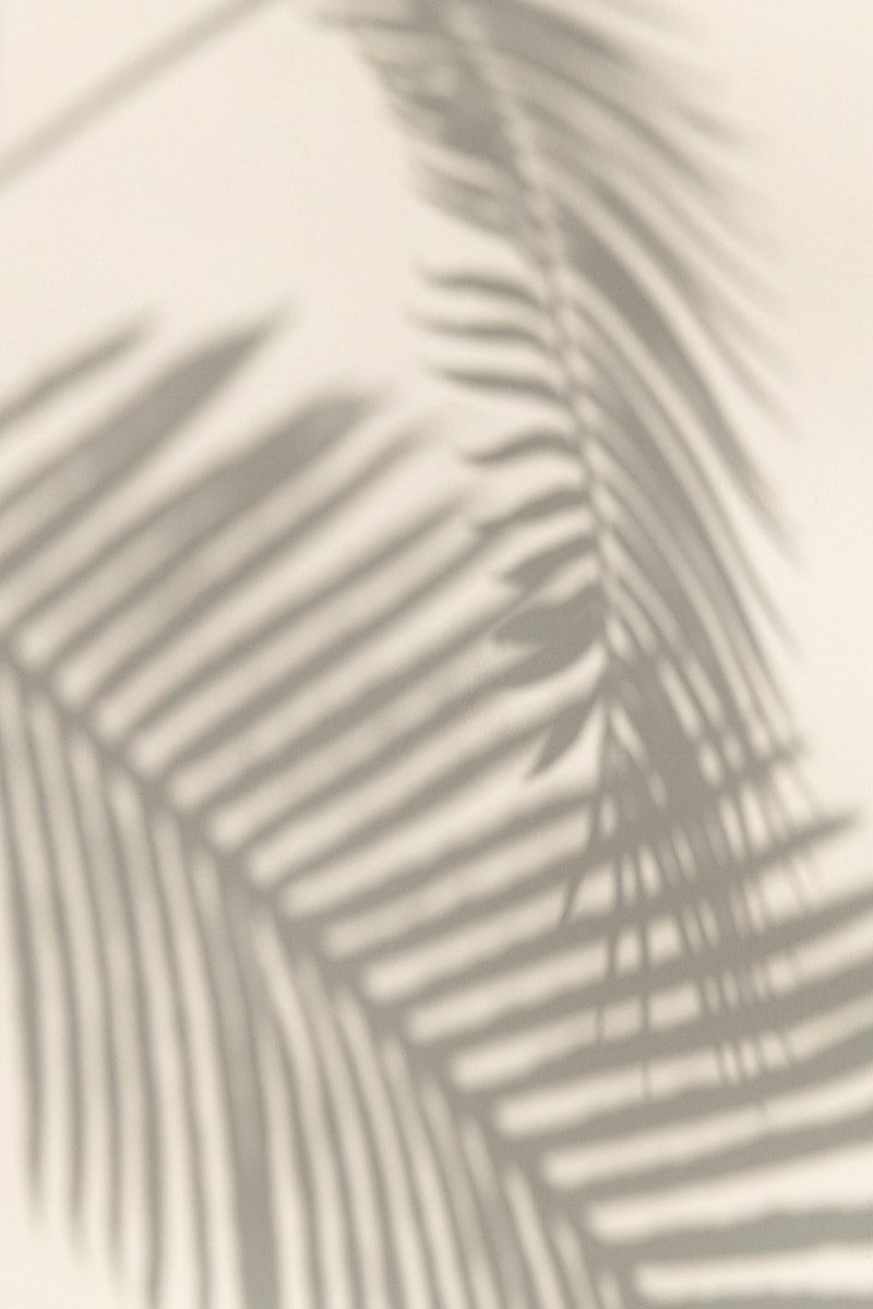 cute palm tree backgrounds 0031