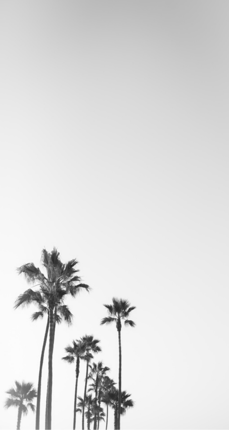 cute palm tree backgrounds 0038