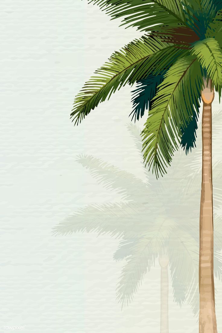 cute palm tree backgrounds 0041