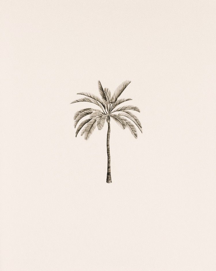 cute palm tree backgrounds 0047