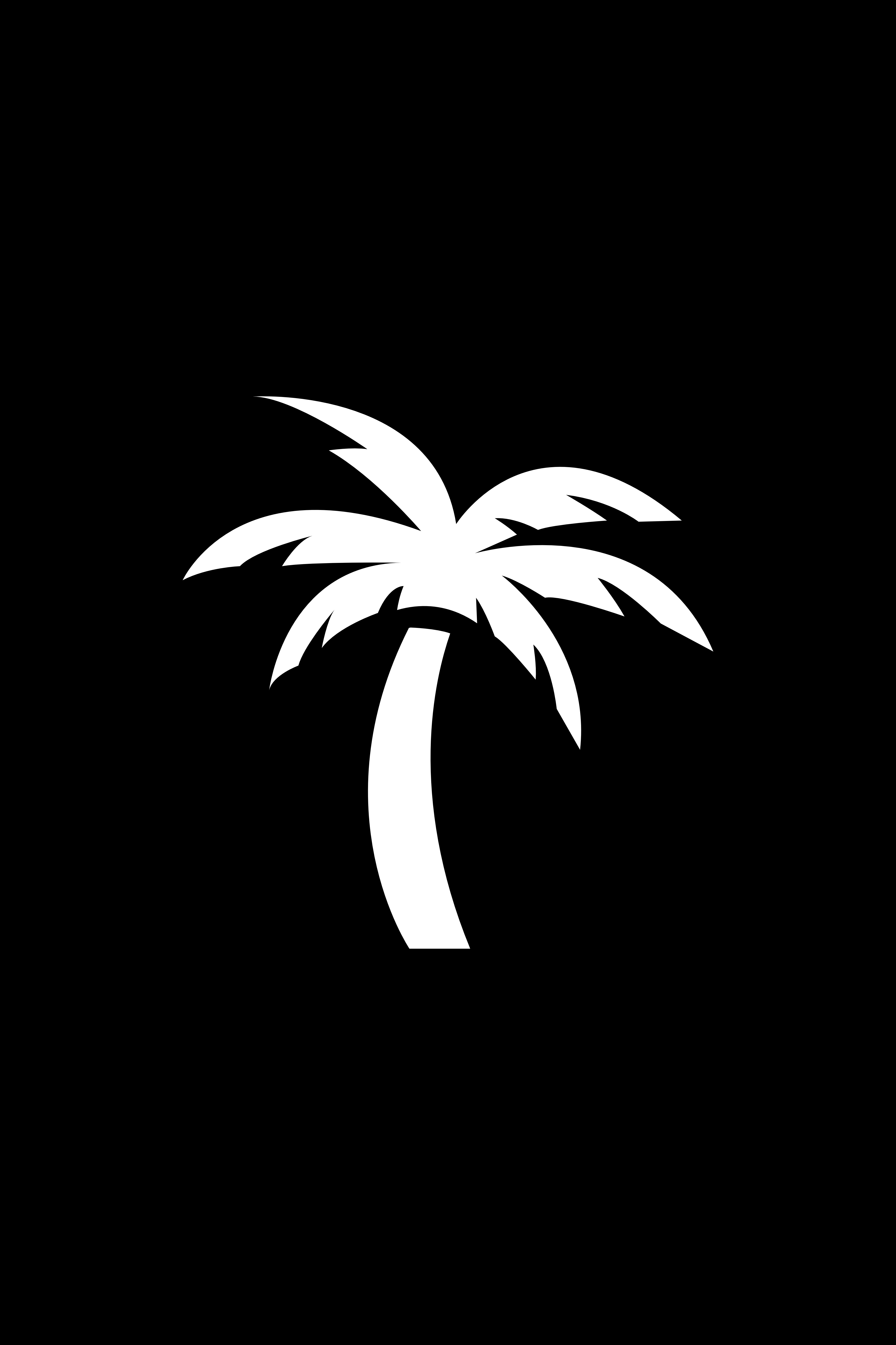 cute palm tree backgrounds 0048