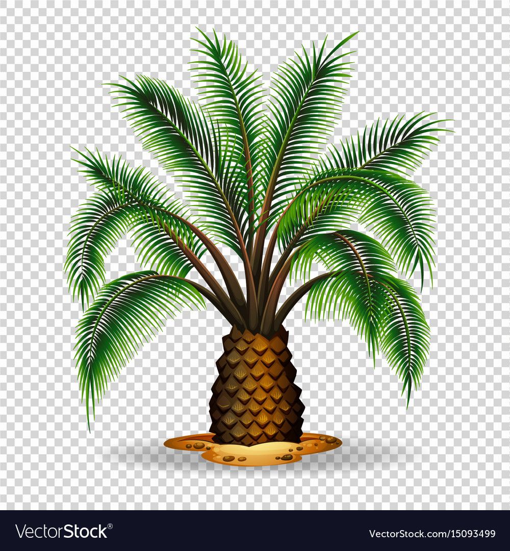 cute palm tree backgrounds 0052