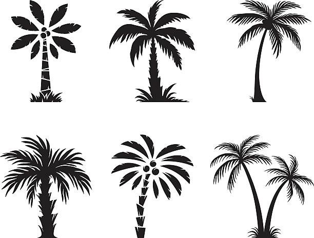 cute palm tree backgrounds 0064