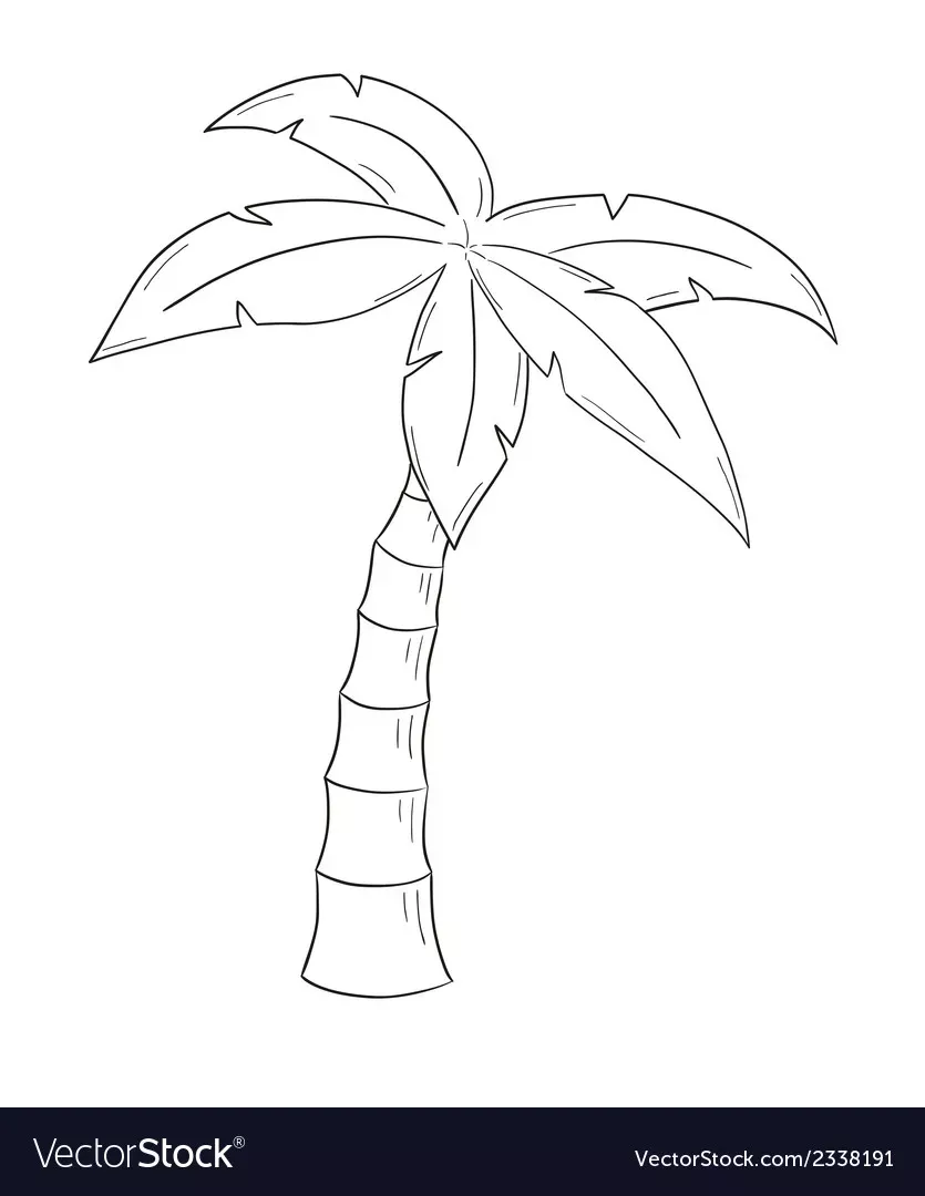 cute palm tree backgrounds 0073