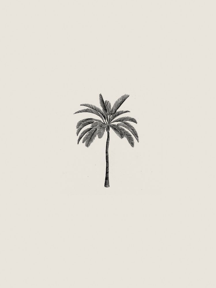 cute palm tree backgrounds 0087