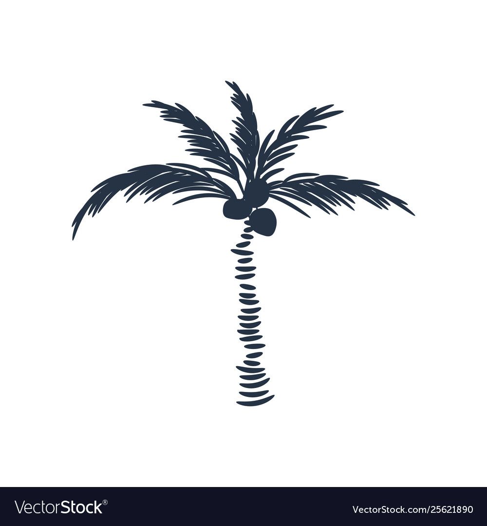 cute palm tree backgrounds 0092