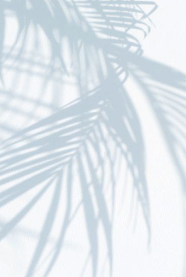 cute palm tree backgrounds 0097